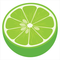 illustration of a lime art