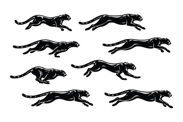 A sequence of cheetahs captured mid-sprint in dynamic black and white illustration © belal