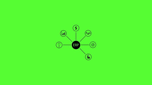 Enterprise Resource Planning System with Networked Icons Loop Animation