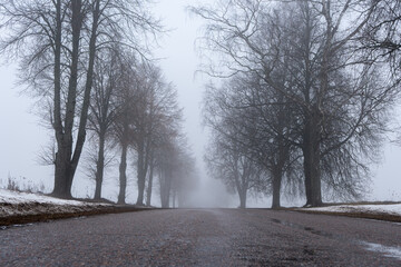Obraz premium Empty foggy countryside road lined with bare winter trees and melting snow, atmospheric landscape symbolizing solitude and uncertainty
