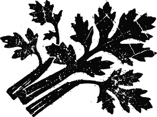 Obraz premium Celery stalks with leaves black silhouette illustration with distressed texture, vintage vegetable design