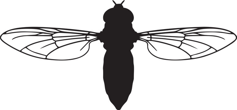 Hoverfly in Flight Silhouette Minimalist Slim Fly with Clear Horizontal Wing-Span Flat Vector Icon