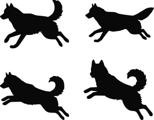 Black silhouettes of jumping and running siberian husky dogs isolated on white background for pet movement and animal action vector design © MstIsmotaraKhatun