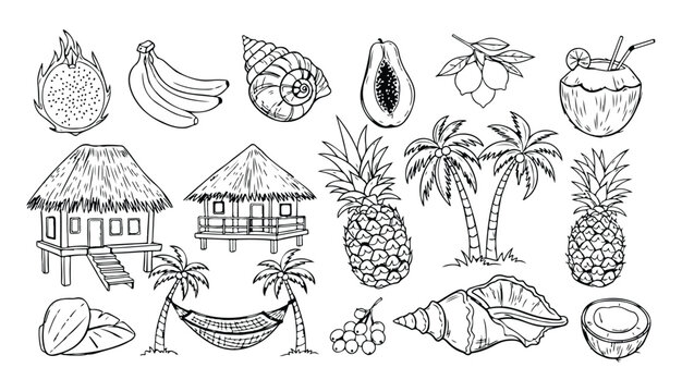 Bali, Thailand or tropic style vacation. Hand drawn vector illustrations. Grunge rough doodle sketch coconut palm tree, exotic fruit and seashell. Blue chalk charcoal drawings for poster, placard