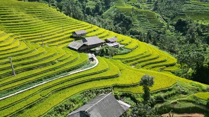 Beautiful Suôi Thầu Plateau, Hà Giang Province, Vietnam.