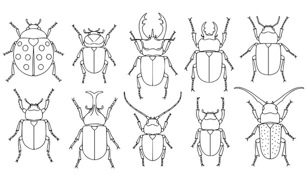 Beetles coloring book vector set &ndash; simple insect line art for kids