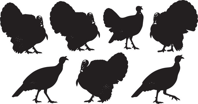 Black Solid Wild Turkey Strutting Silhouettes Set of Six on White Background