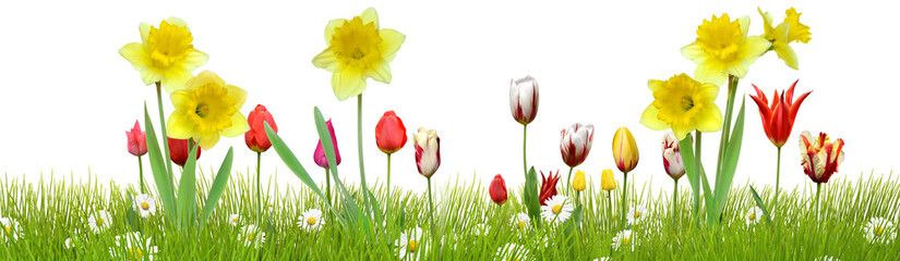 Frühling 9 © K.-U. Häßler