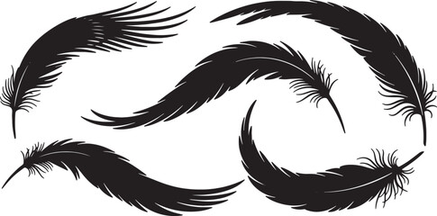 Obraz premium Black Solid Wing Feather Silhouettes Set of Six on White Background