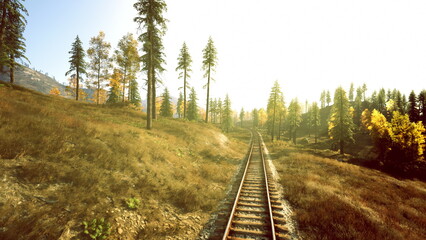 Naklejka premium textured railway cutting through grassy slope, foreground detail and warm light emphasize flora, seasonal color, and narrative potential for nature storytelling