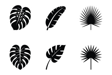 Tropical Leaves Silhouette Icon Set