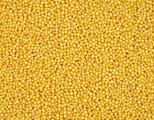 Full frame close-up of dry millet grains forming a uniform yellow food texture. Small round cereal grains evenly distributed across the frame.