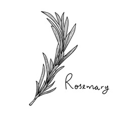 rosemary