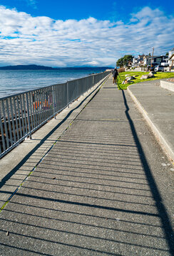 West Seattle Shoreline Walkway