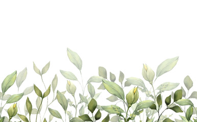 Obraz premium Hand drawn seamless border with green leaves and branches. Elegant botanical divider