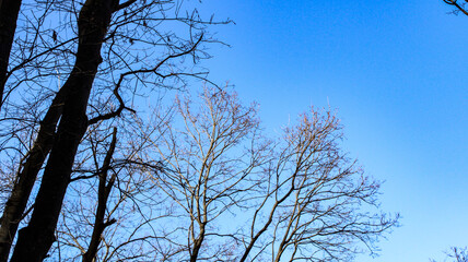 The first days of spring