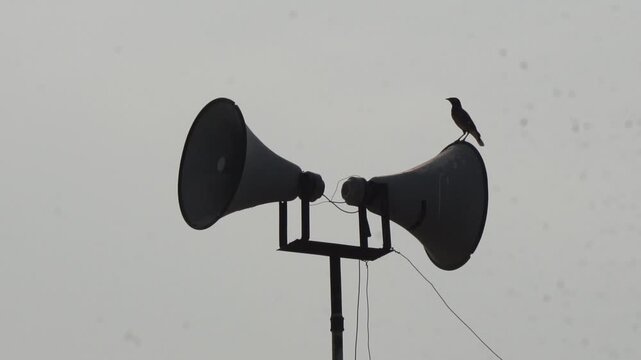 Black bird perched on horn loudspeakers against overcast sky