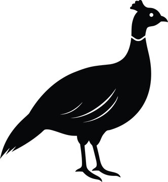 Himalayan Monal Silhouette Vector Art Illustration