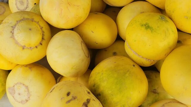 Ripe yellow muskmelons in a market pile
