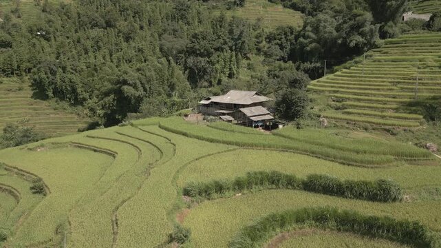 Rice terrace in mountain of Ha Giang provine, Vietnam