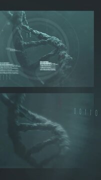 Vertical video: HUD reticle appearing helix rotating chromosomes drifting camera zooming for study