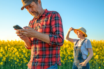 Farmer couple in cultivated rapeseed field, man using smartphone and woman looking over crops