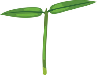 Sprout of plant with two green leaves isolated on white background