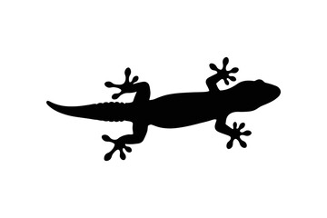 Fototapeta premium Black Silhouette of a Gecko Vector Illustration