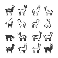 Fototapeta premium A Collection of Llama Icons in Various Poses and Styles