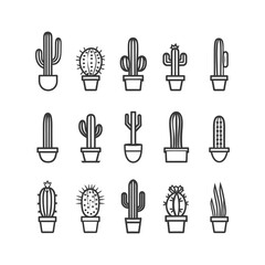 Fototapeta premium A Set of 15 Different Cactus Line Drawings in Pots