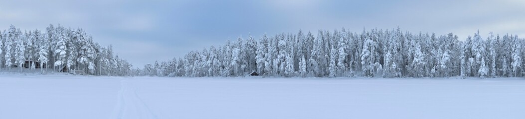 Obraz premium Panoramic winter landscape with snow-covered forest and frozen lake under a soft blue sky. Serene Nordic scenery with frosted trees, tranquil atmosphere, and untouched snow creating a calm, Lapland