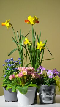 Floral arrangement with spring flowers. Slow rotation