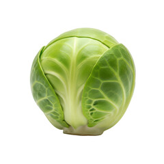 Obraz premium A close-up view of a fresh, vibrant green cabbage head