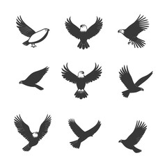 Fototapeta premium Collection of Eagle Silhouettes in Flight