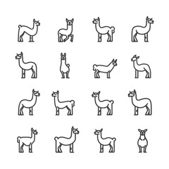 Obraz premium Collection of Llama Line Icons in Various Poses