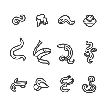 Set of 12 Line Art Worm Icons