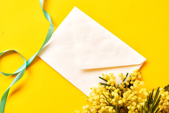 Mimosa fresh flowers on yellow background, frame with copy space on envelope, 8 march day background, mimose is traditional flowers for international womans day 8 of march