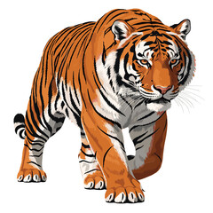 Obraz premium Majestic Tiger Illustration: Striking Big Cat Art