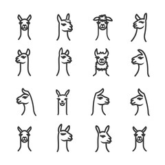 Fototapeta premium Sixteen Outline Drawings of Llama Heads in Different Poses
