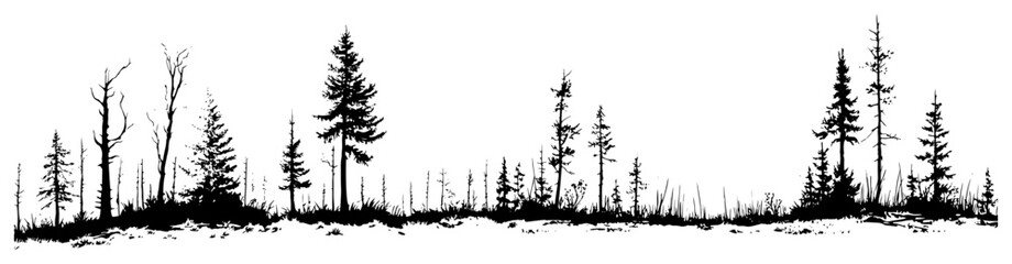 Panoramic silhouette of a pine forest with various coniferous trees and wild grass © AdrianGebert