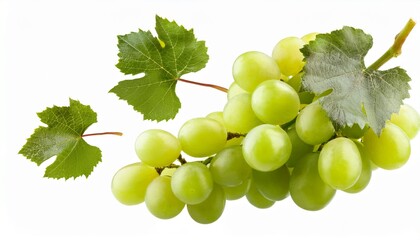 green grape flying isolated
