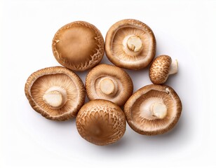 fresh shiitake mushroom isolated on white background top view flat lay