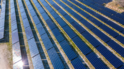 Obraz premium Sunlight reflecting off solar panels and an aerial view of a modern energy farm. Sustainable energy and technology concept.
