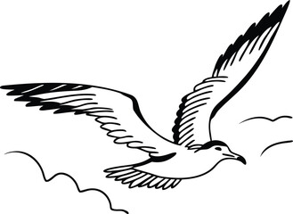 Obraz premium Vector flying seagull illustration