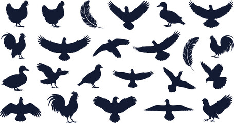 Farm and flying bird silhouettes collection, chicken duck rooster feather and wild birds vector set, black poultry clipart bundle © Ideasy Mind