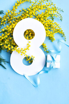 Mimosa yellow flowers on blue spring background, 8 march day festive background, mimose is traditional flowers for international womans day 8 of march