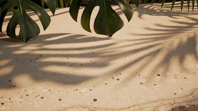 Natural Stone Surface Textured with Tropical Plant Shadows
