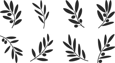 Minimalist black olive branch silhouettes set, botanical leaf and berry illustrations isolated on white background, modern Scandinavian style clipart elements for logo, branding and decor © Mst Jotsna