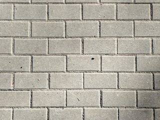 Obraz premium Vista cenital de pavimento de adoquines rectangulares de hormigón gris con juntas marcadas