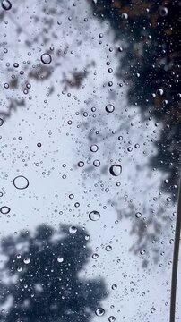 Rain Droplet on Umbrella Surface with Blurred Tree Background During Wet Weather